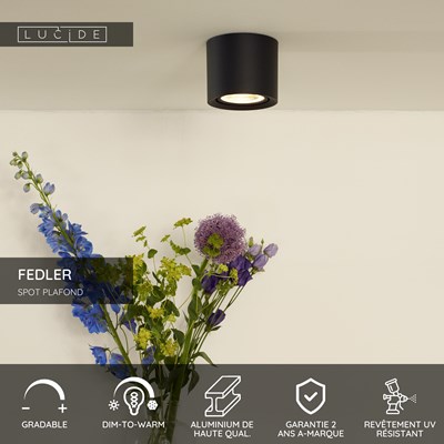 Lucide FEDLER - Spot plafond - Ø 12 cm - LED Dim to warm - GU10 (ES111) - 1x12W 2200K/3000K - Noir